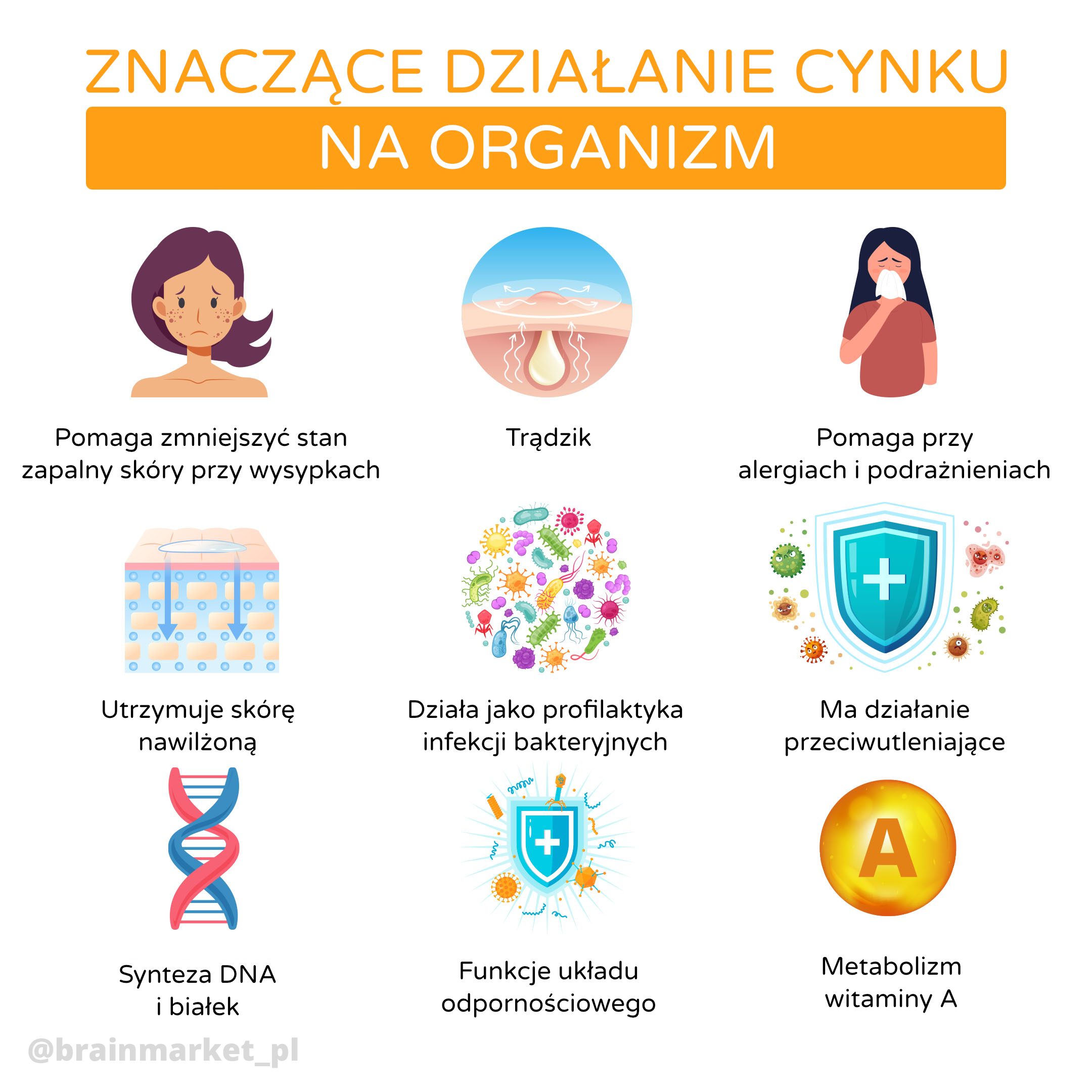 vyznamne_ucinky_zinek_infografika_brainmarket_pl